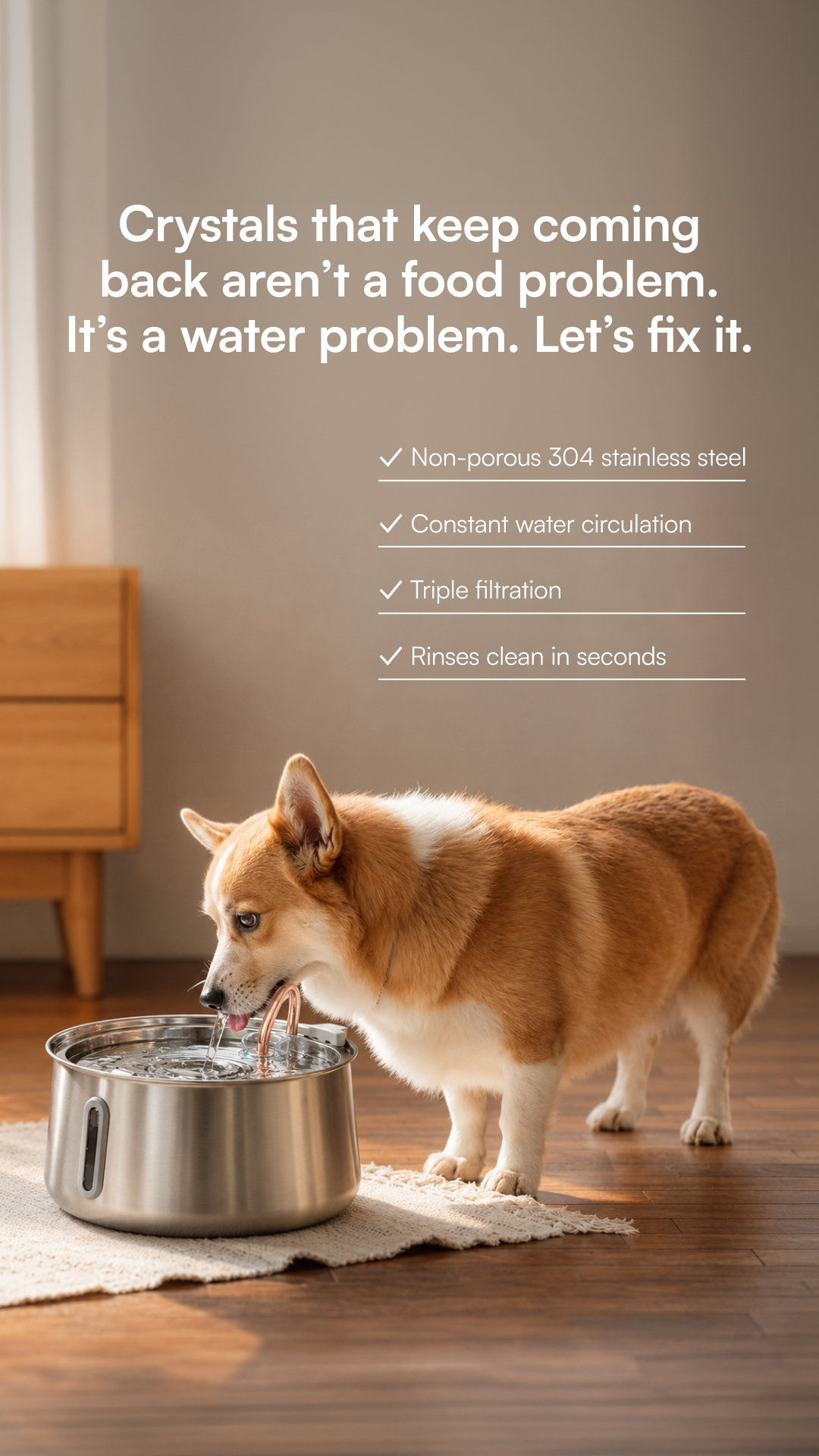 Rhykin Pet Co Facebook ad