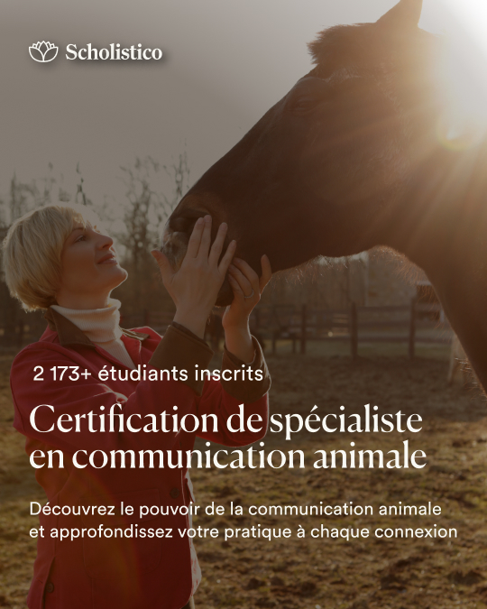 Scholistico en Français Facebook ad from Aug 13, 2026