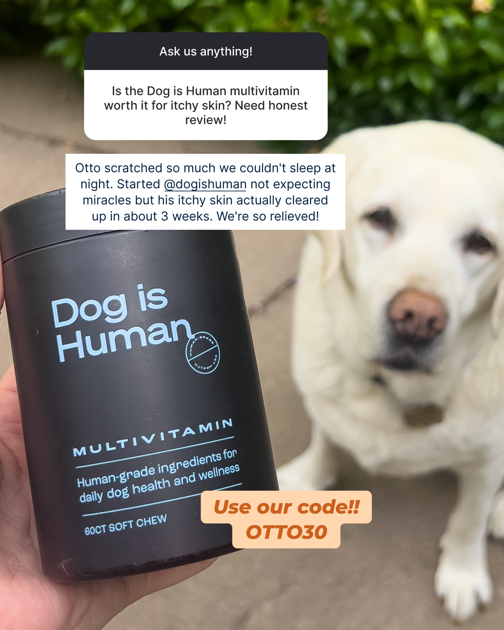 Dog is Human Facebook ad