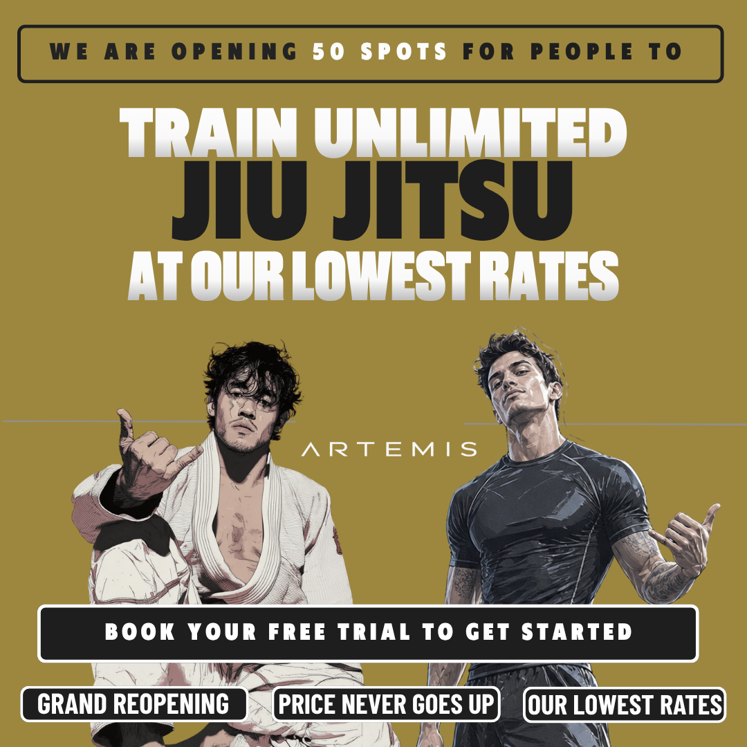 Artemis Jiu Jitsu Facebook ad