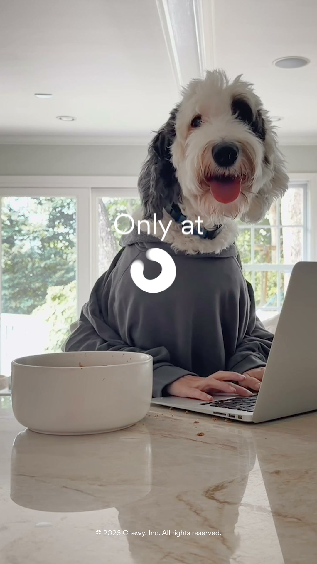 Chewy Facebook ad from Aug 10, 2026