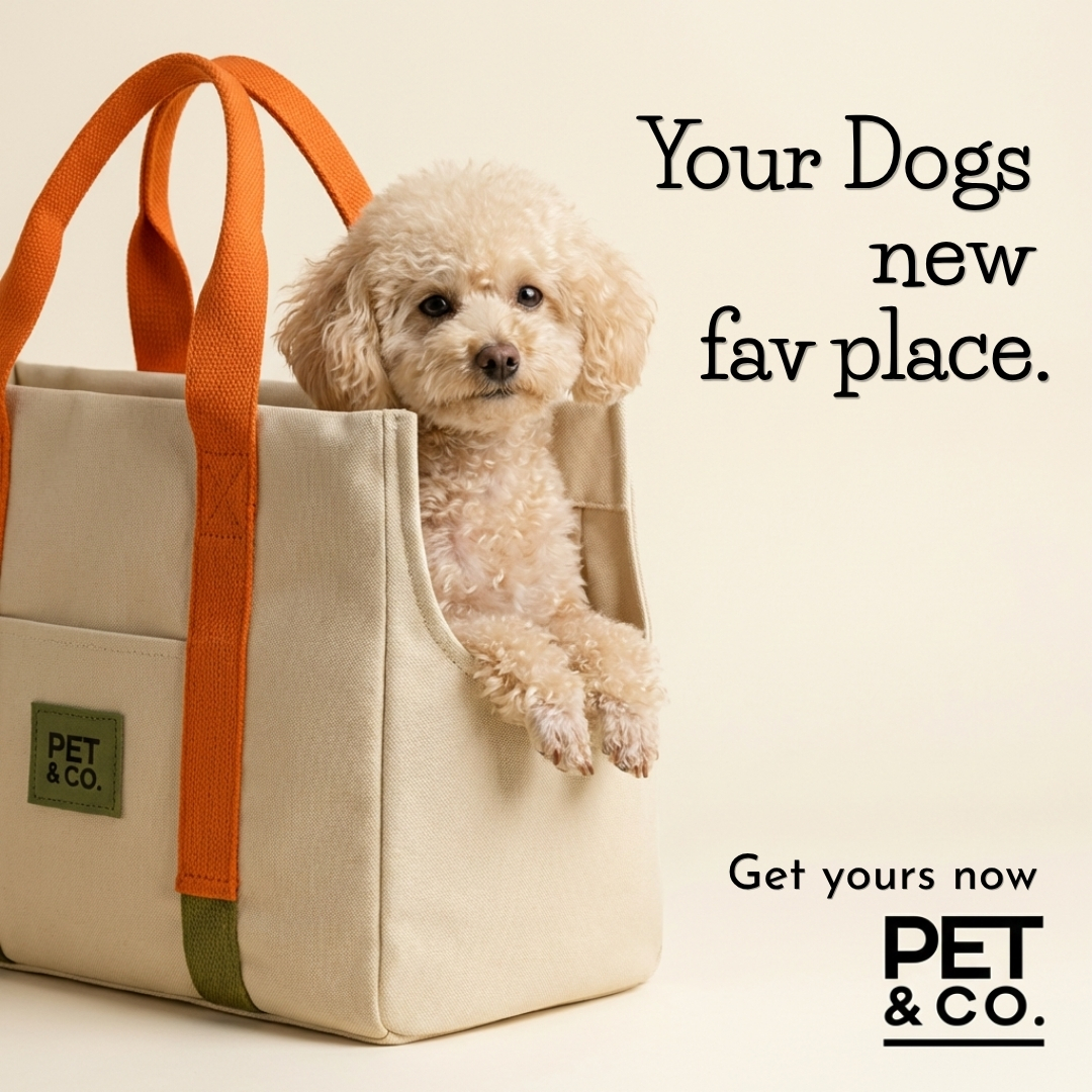 PET & Co. Zürich Facebook ad: love and style