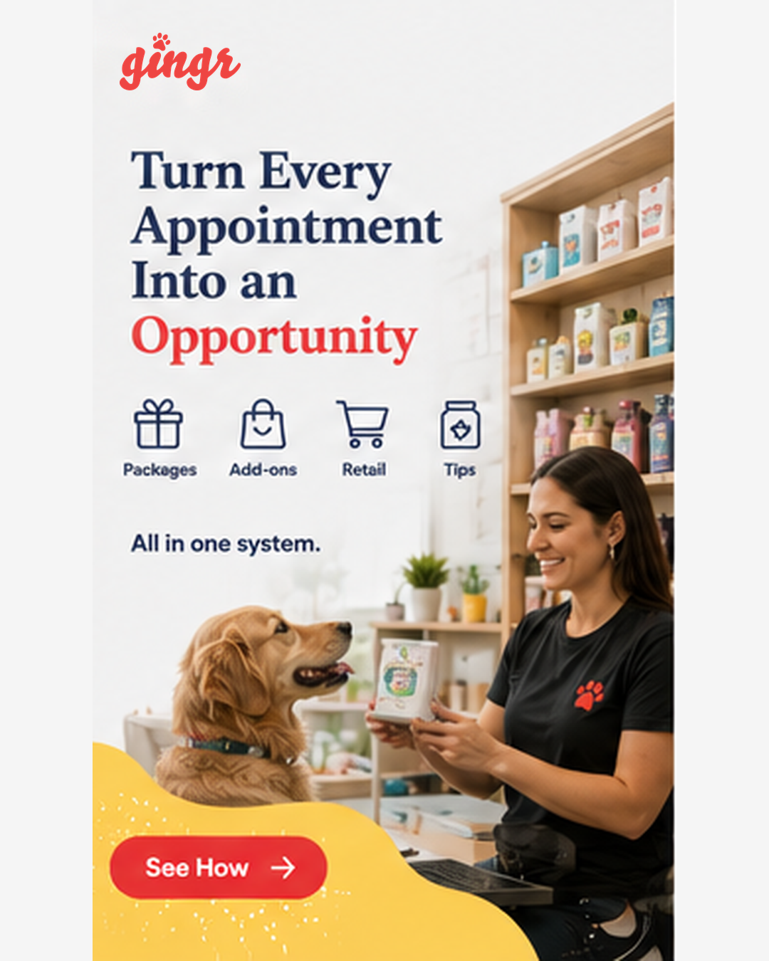 Gingr Facebook ad