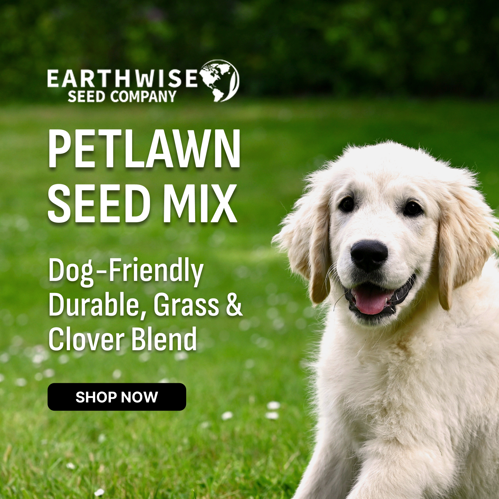 Earthwise Seed Company Facebook ad