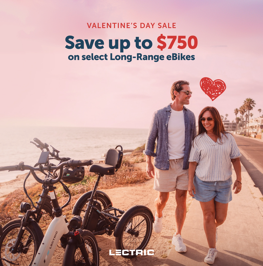 Lectric eBikes Facebook ad