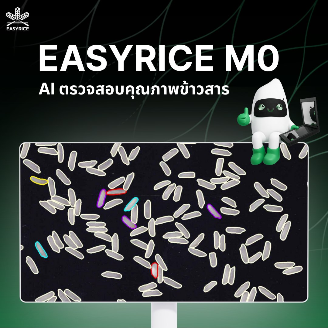 Easy Rice Digital Technology - อีซีไรช์ ดิจิทัล เทคโนโลยี Facebook ad
