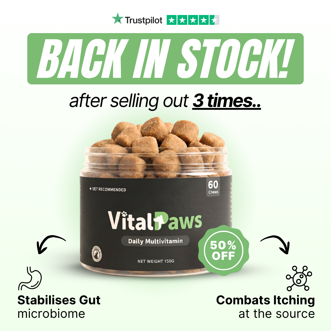 VitalPaws Facebook ad