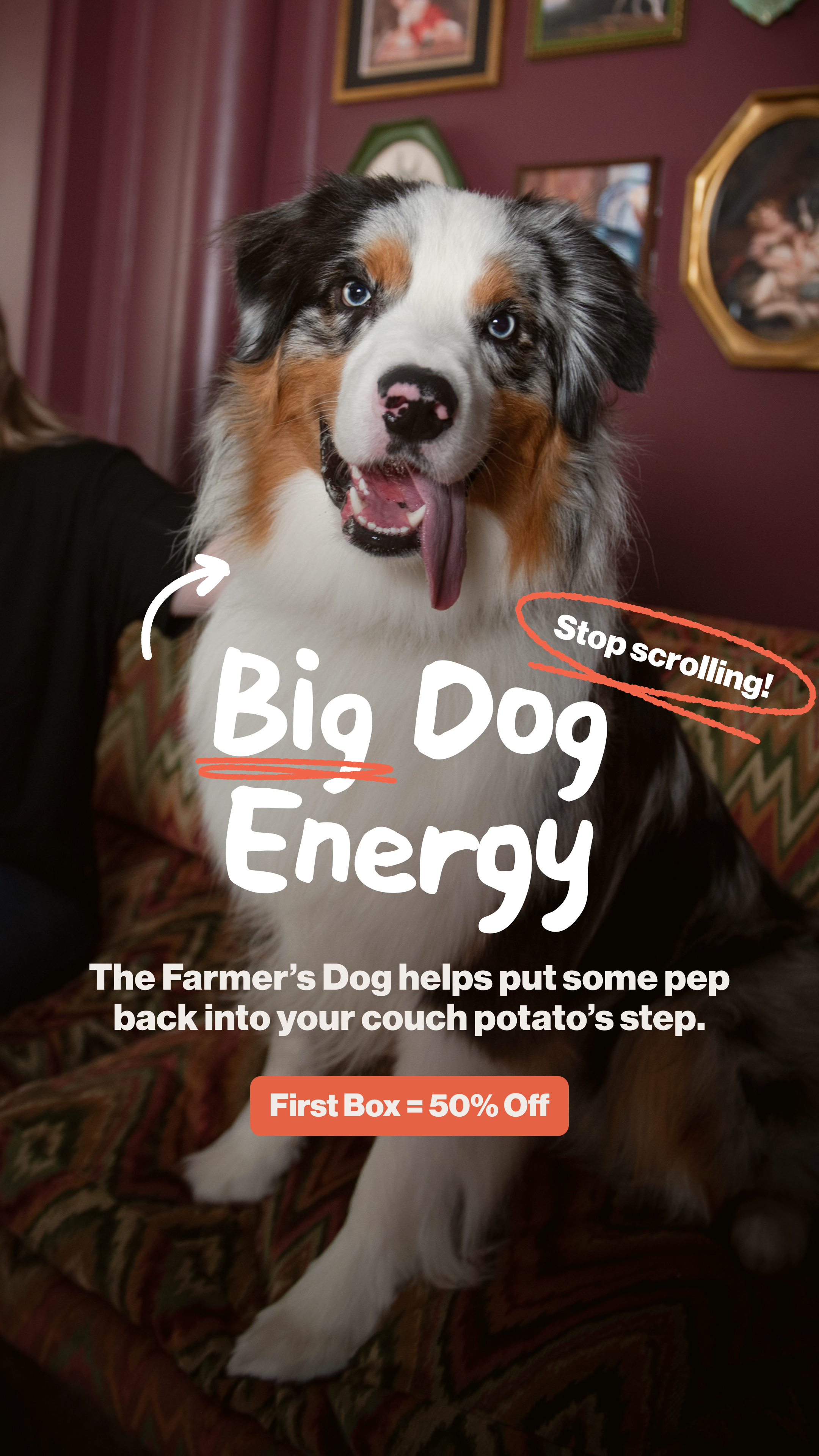 The Farmer's Dog Facebook ad