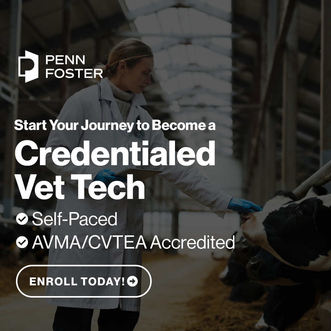 Penn Foster Facebook ad