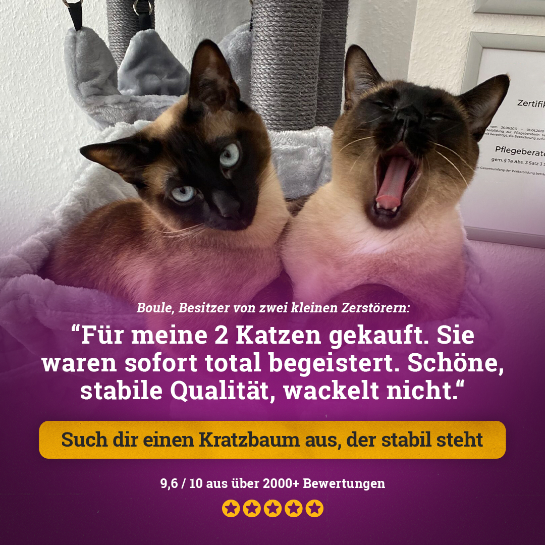 petrebels.com Facebook ad: Qualität, die bleibt