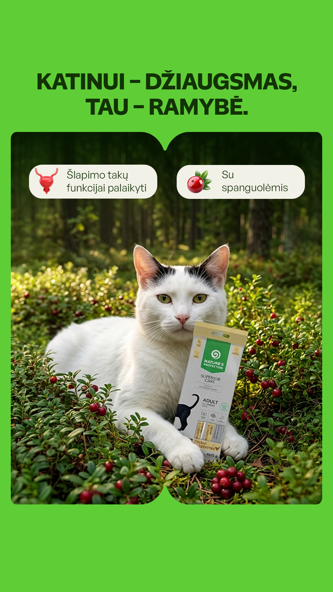 KIKA Facebook ad