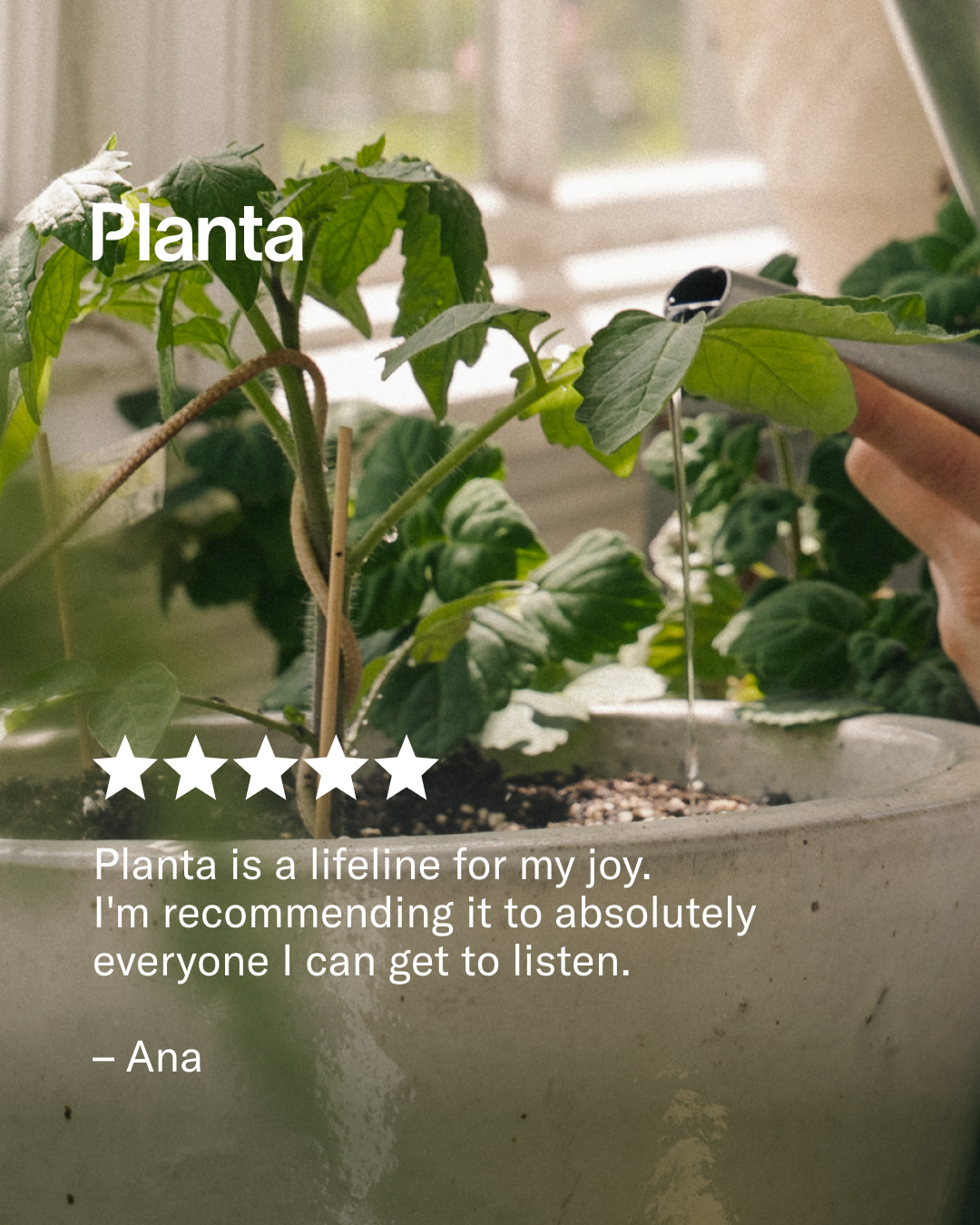Planta Facebook ad