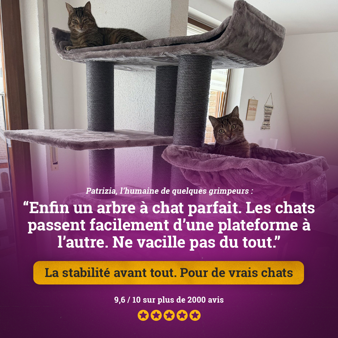 petrebels.com Facebook ad: Adoré par les chats
