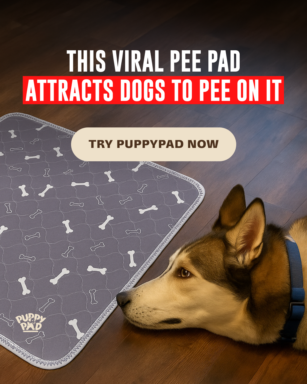 PuppyPad Facebook ad