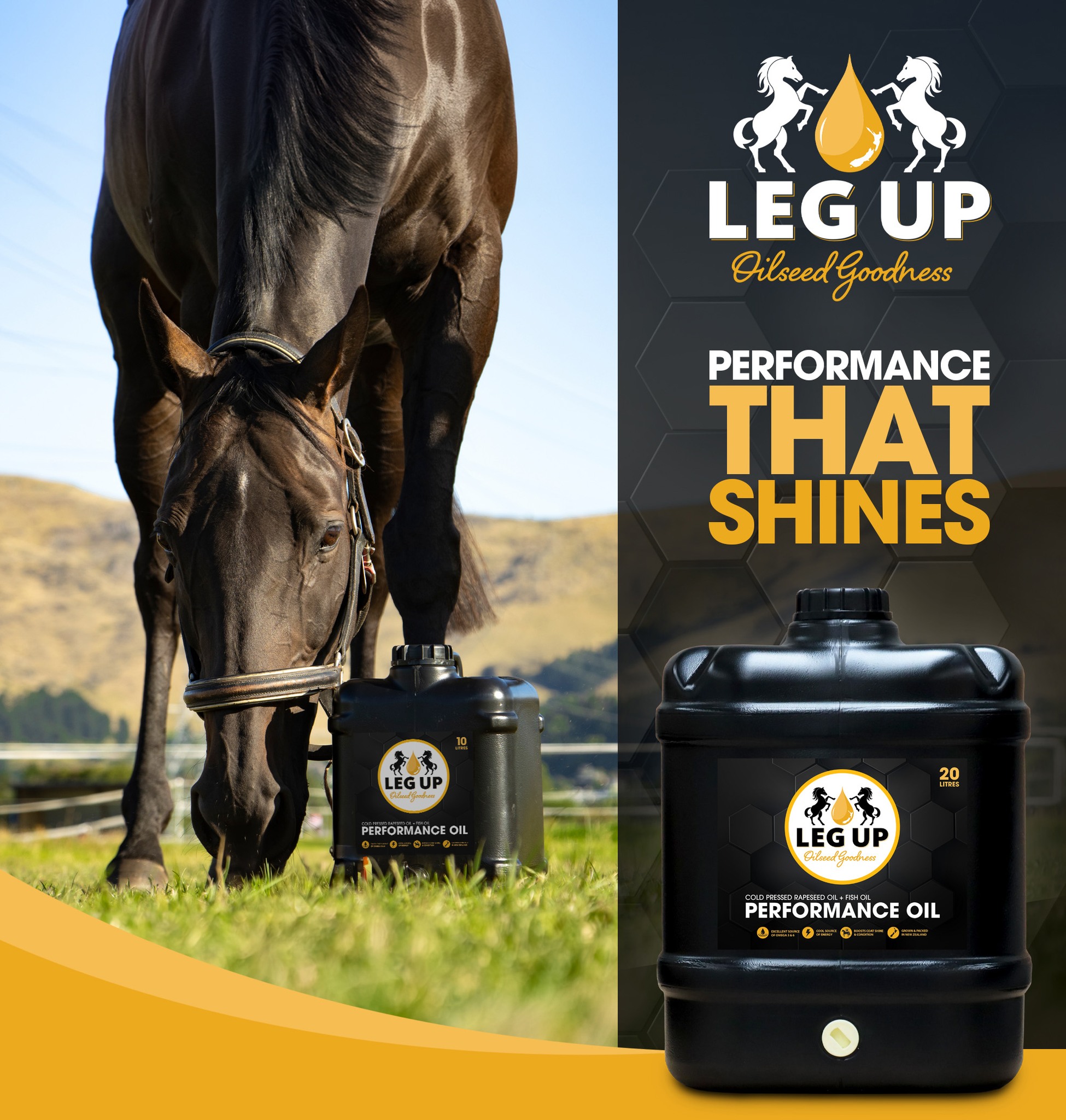 Leg Up Equine Facebook ad: Leg Up Performance Oil