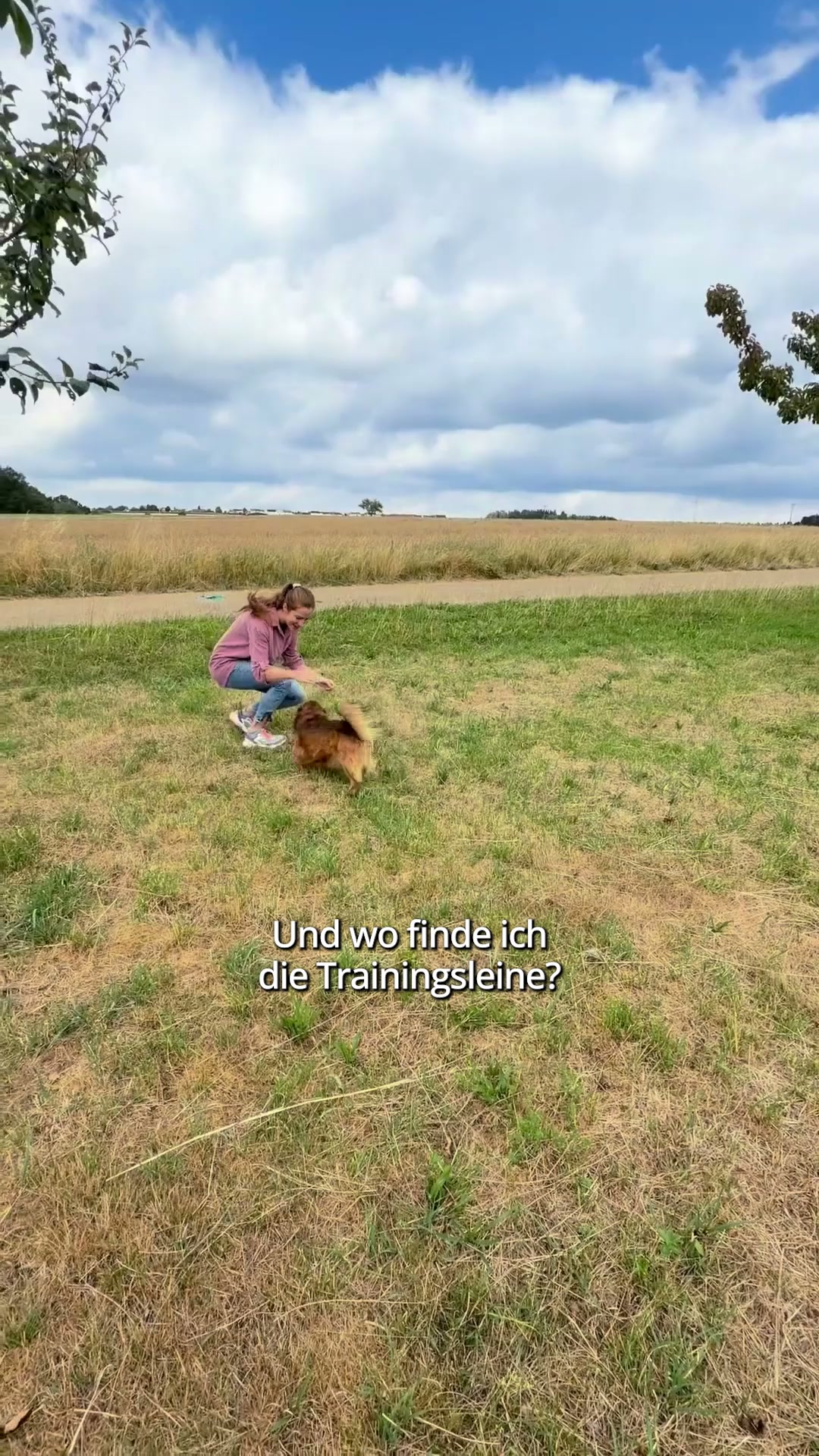 André Vogt - Der Welpentrainer Facebook ad: Jetzt Leine sichern!