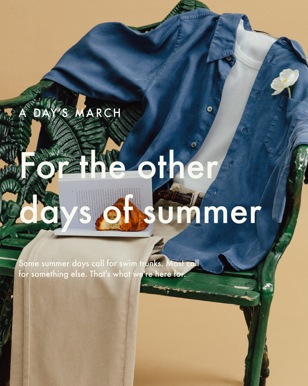 A Day's March Facebook ad