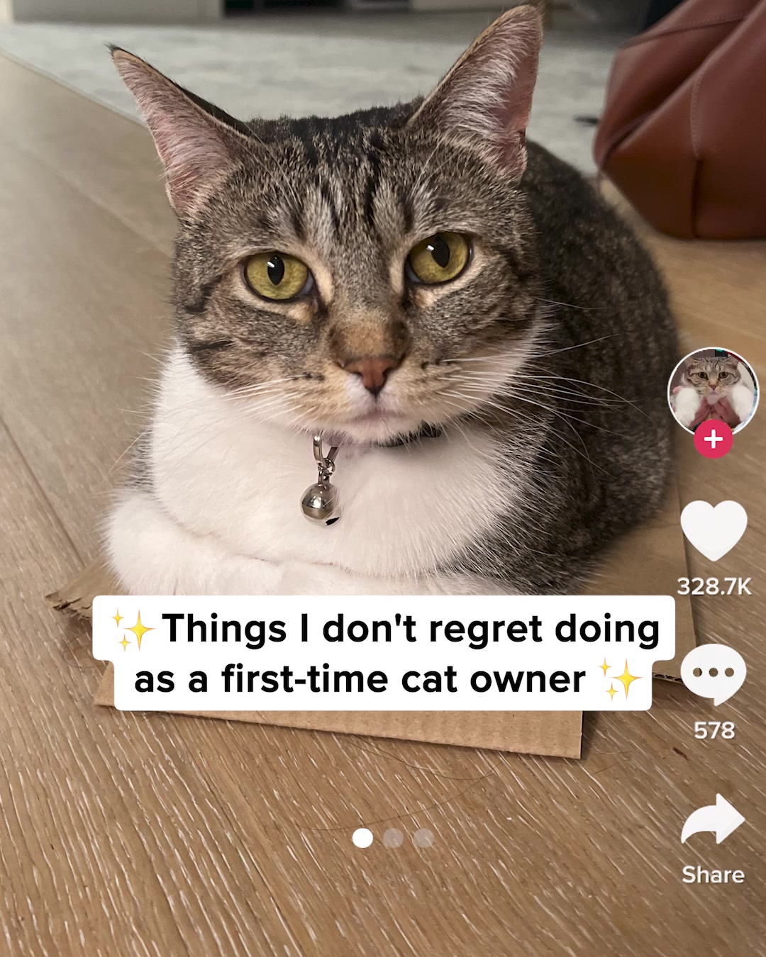 Smalls Facebook ad: Human-Grade Fresh Cat Food