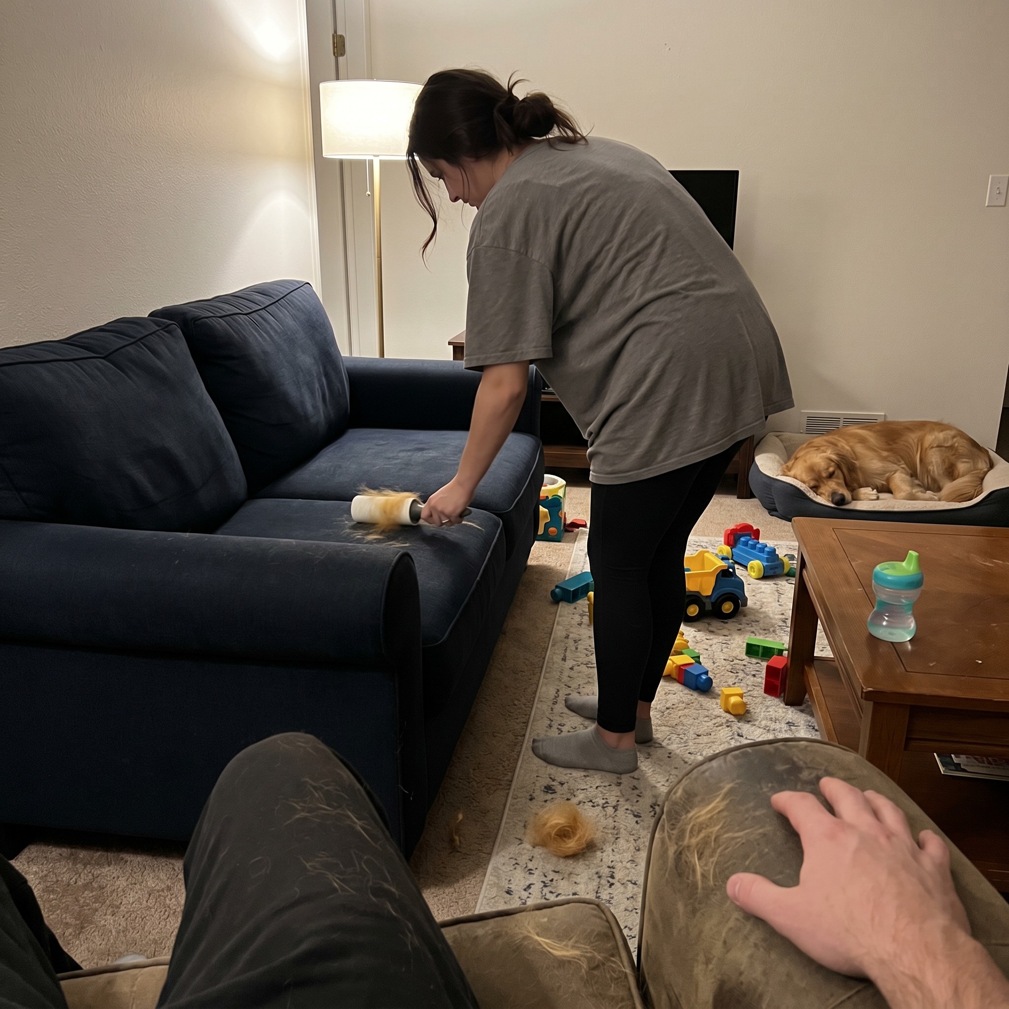 Rafitheminiaussie Facebook ad: I Owe My Wife An Apology About The Dog Hair