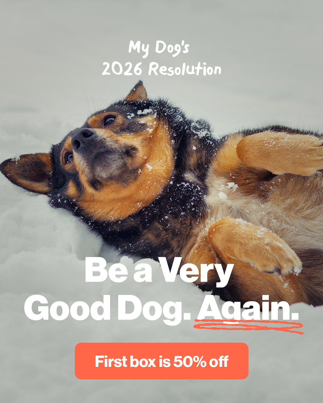 The Farmer's Dog Facebook ad