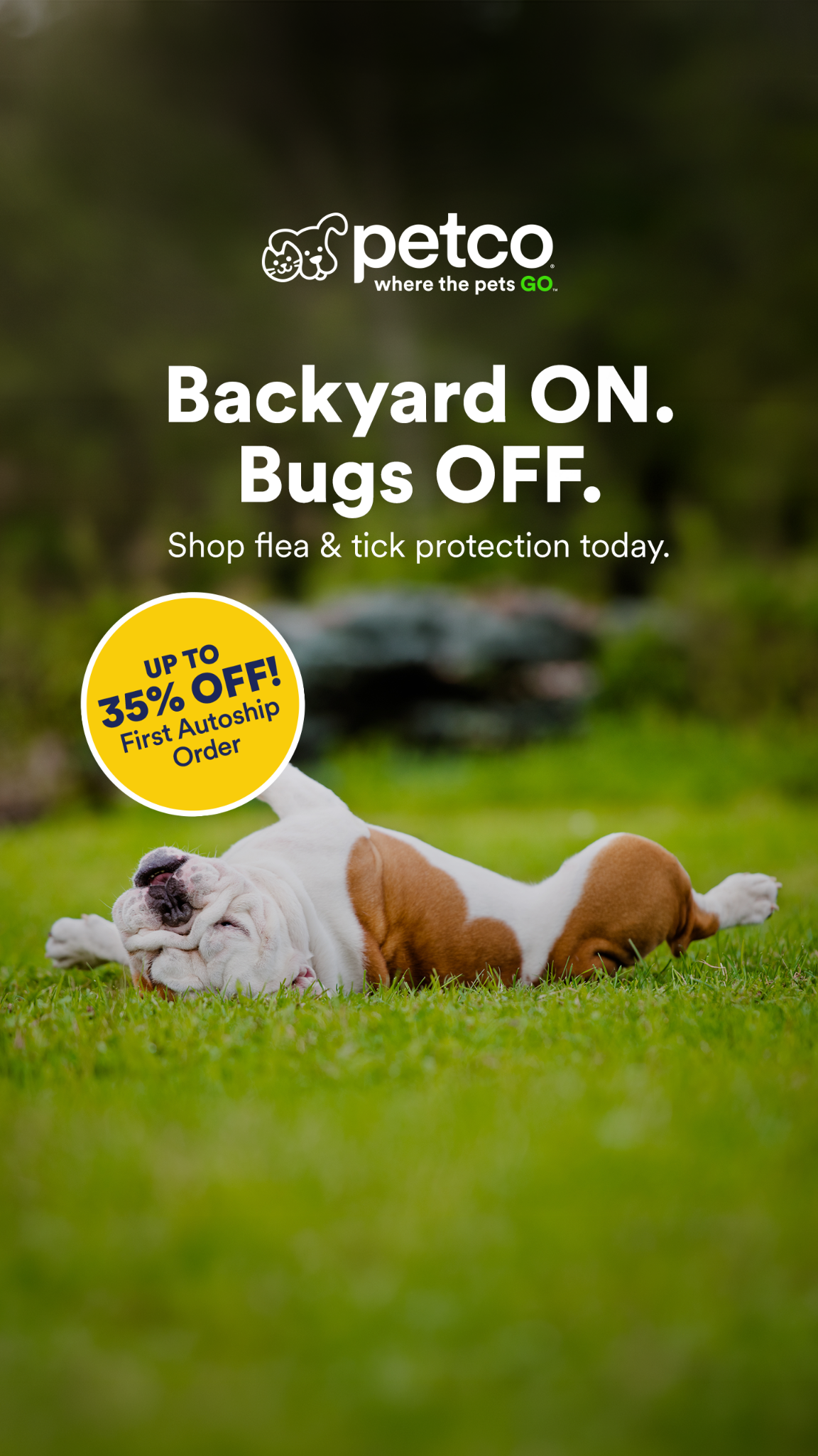 Petco Facebook ad