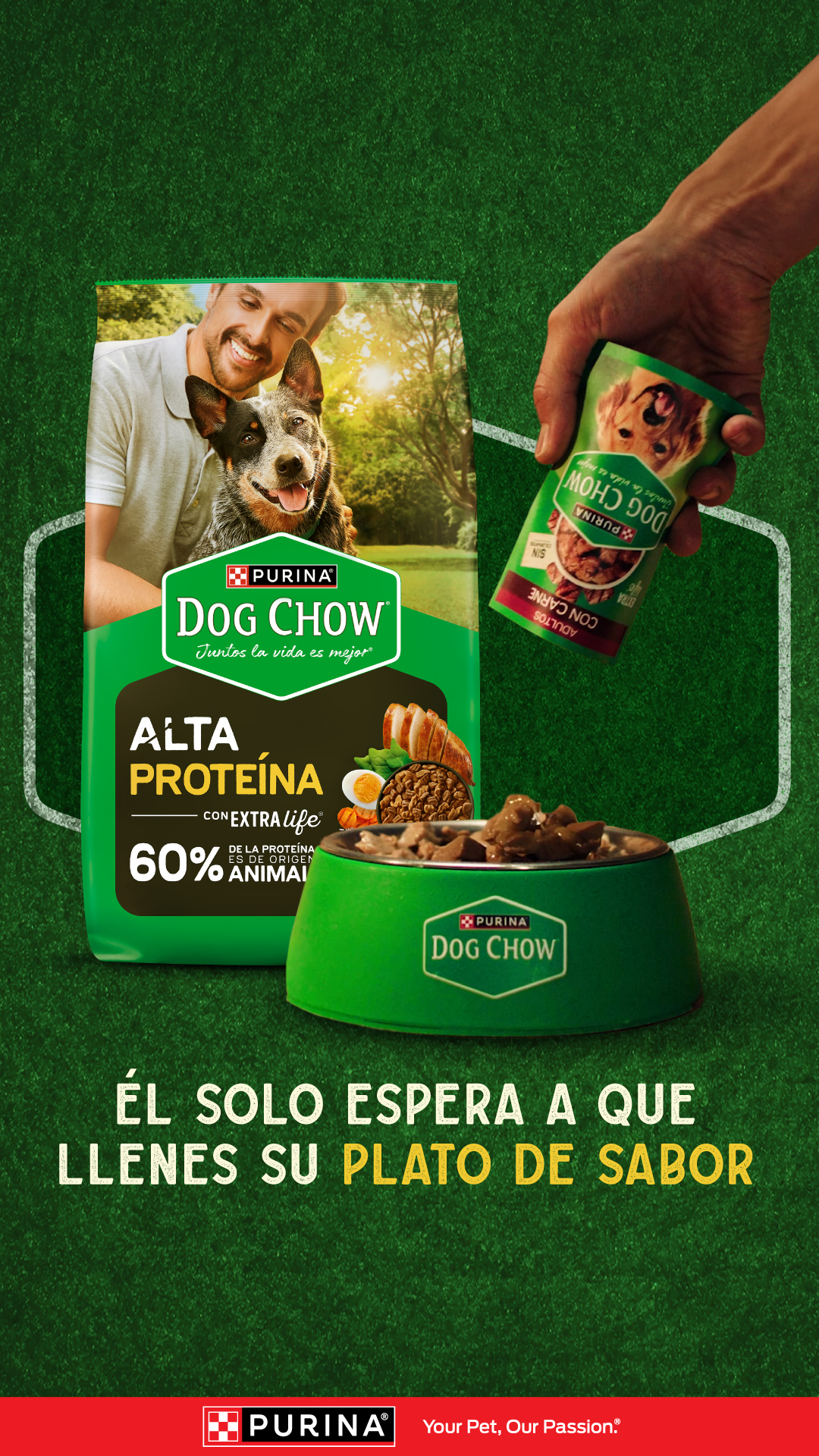 Purina Dog Chow Centroamérica Facebook ad