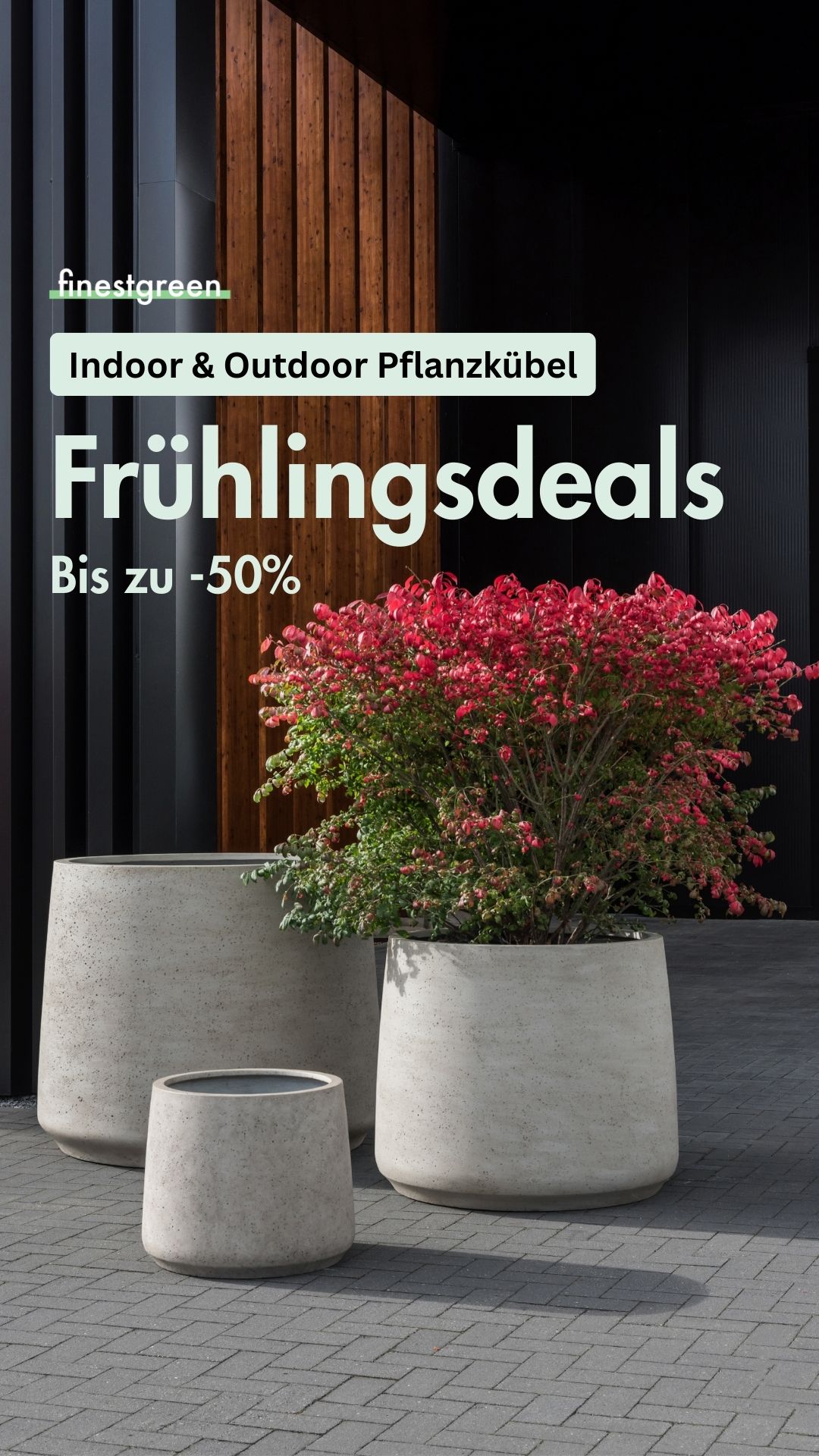 Finestgreen Facebook ad