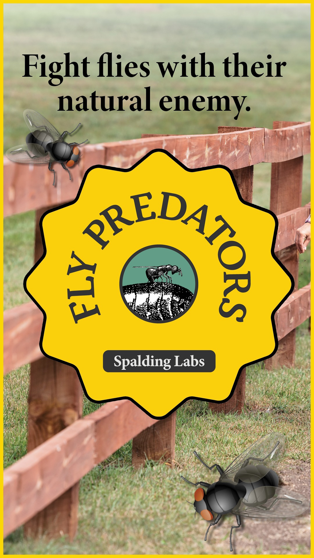 Spalding Labs Facebook ad