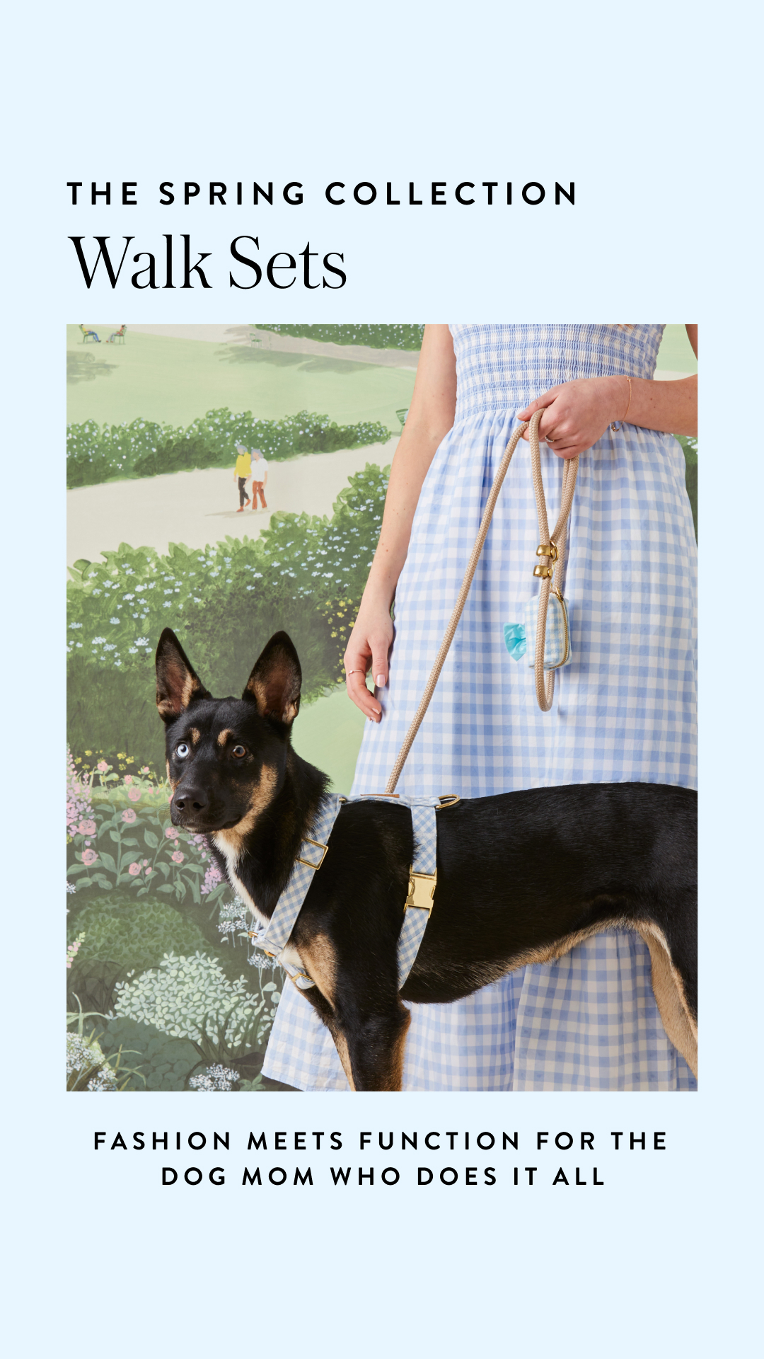 The Foggy Dog Facebook ad