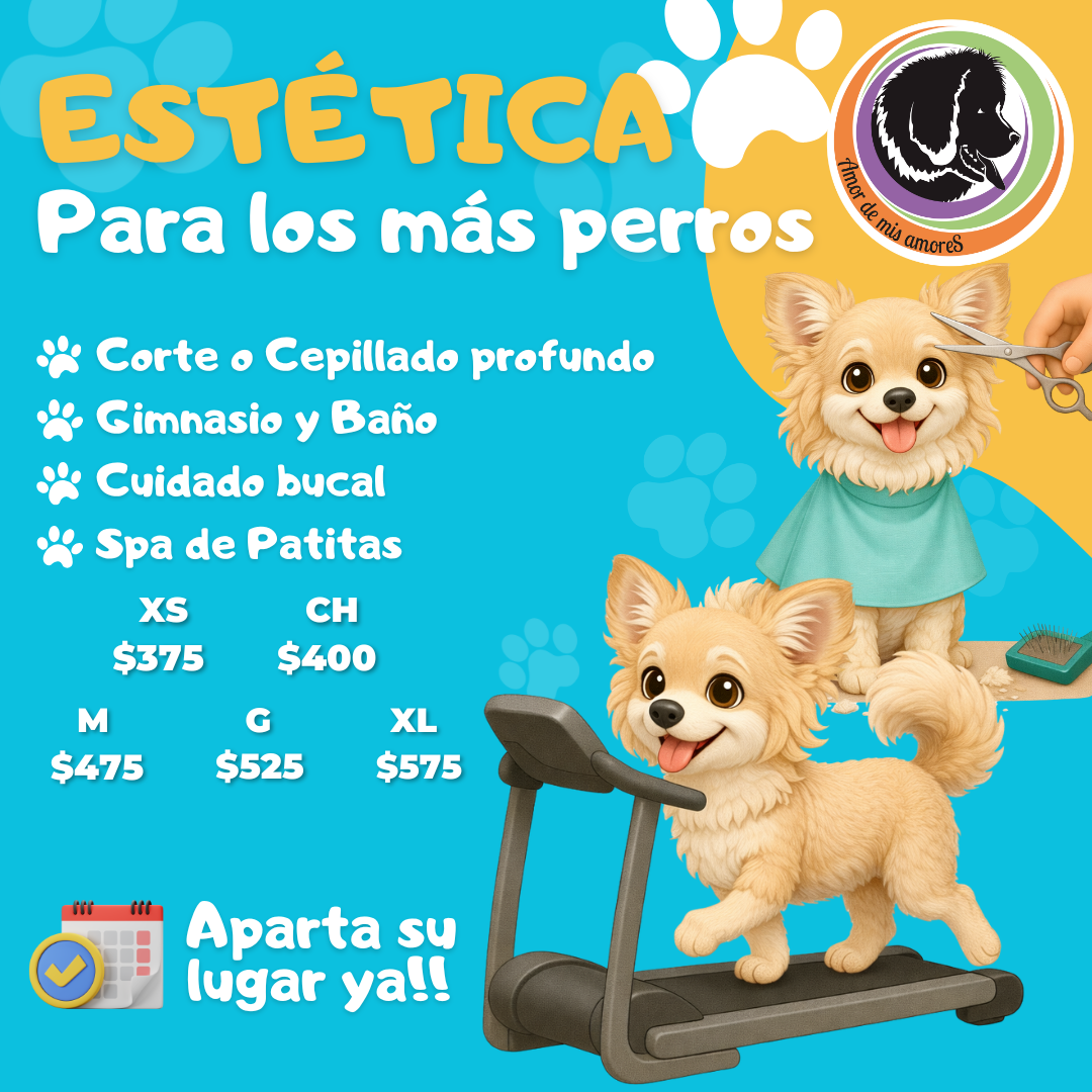 Amor de mis Amores Felix cuevas Facebook ad: Estética Canina en CDMX