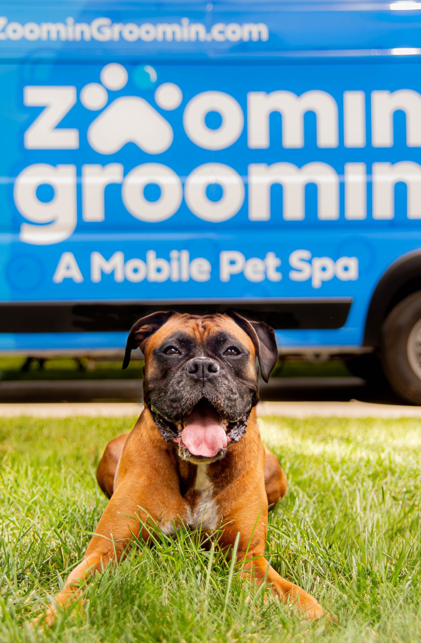 Zoomin Groomin - NW Arkansas Facebook ad