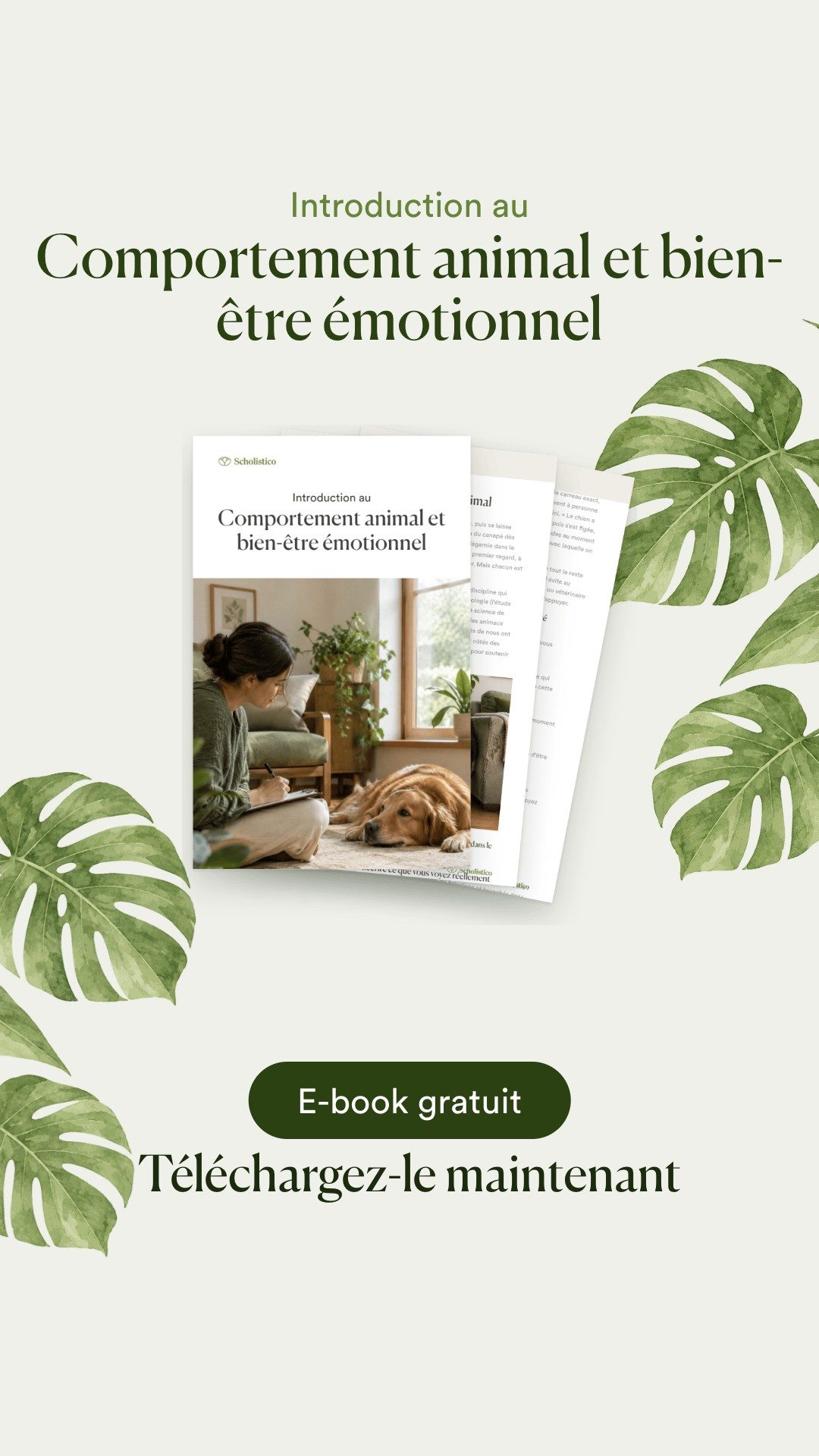 Scholistico en Français Facebook ad: [GRATUIT] Comportement animal