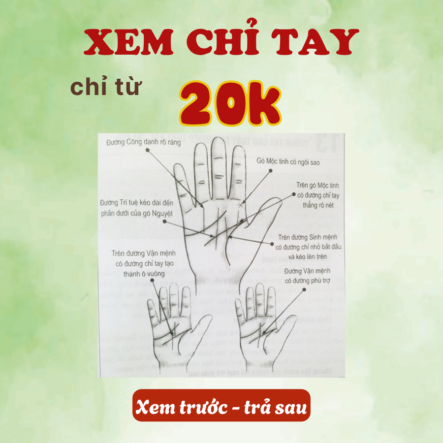 Chúi Tarot - Tử Vi, Chỉ Tay, Duyên Số Facebook ad