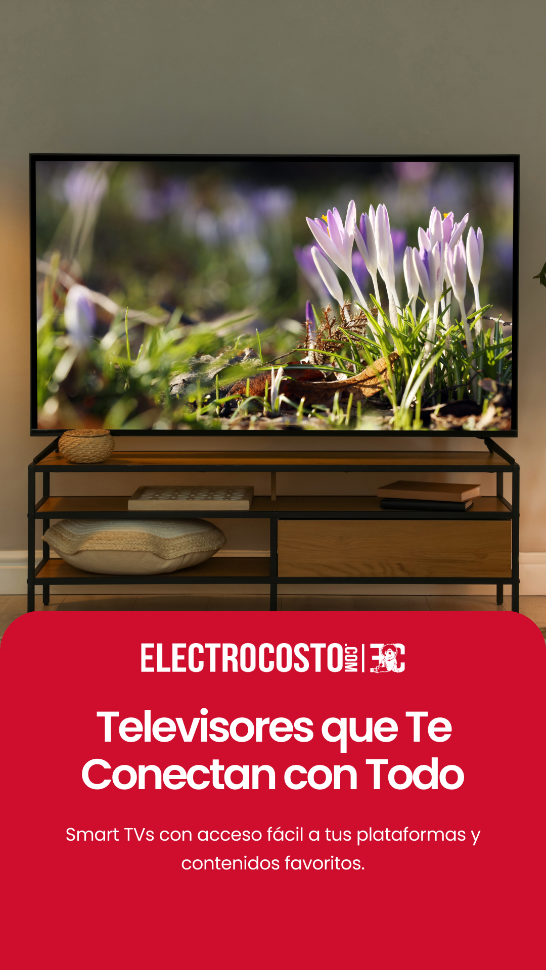 Electrocosto Facebook ad