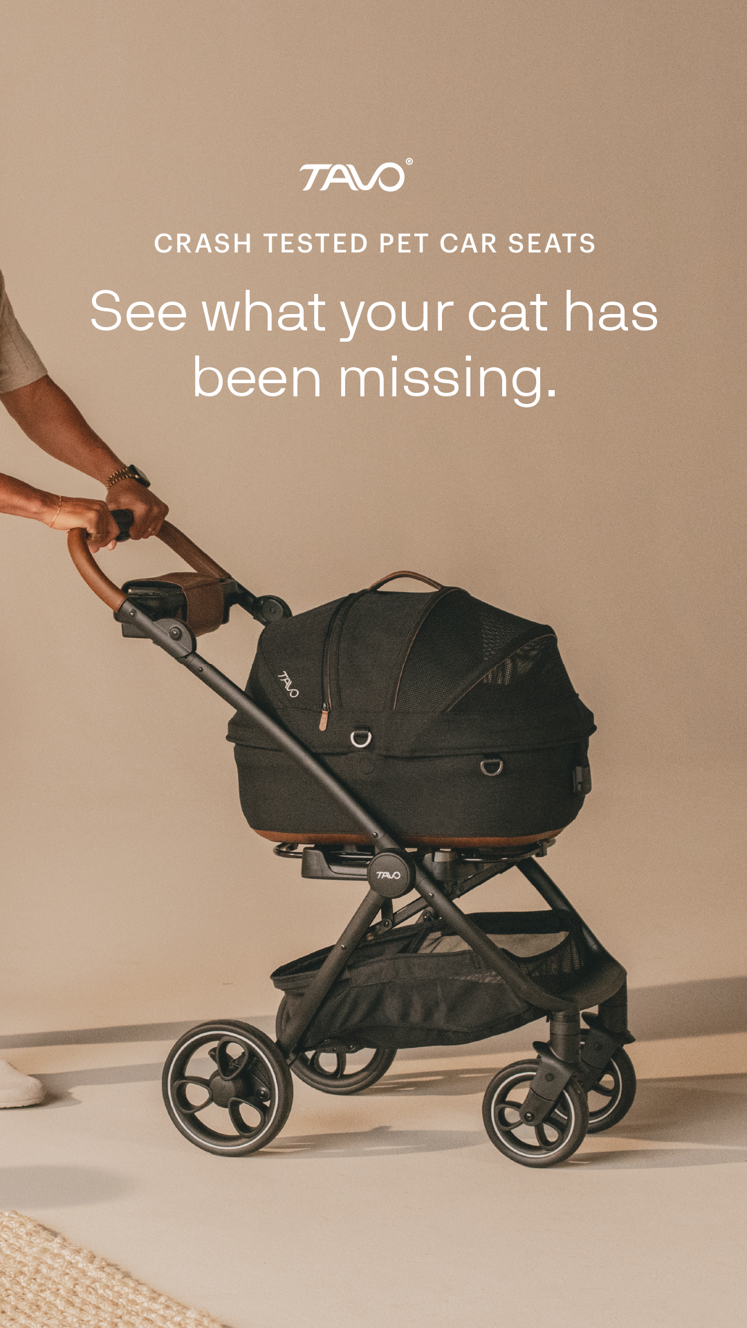 Tavo Pets Facebook ad from Jun 10, 2026