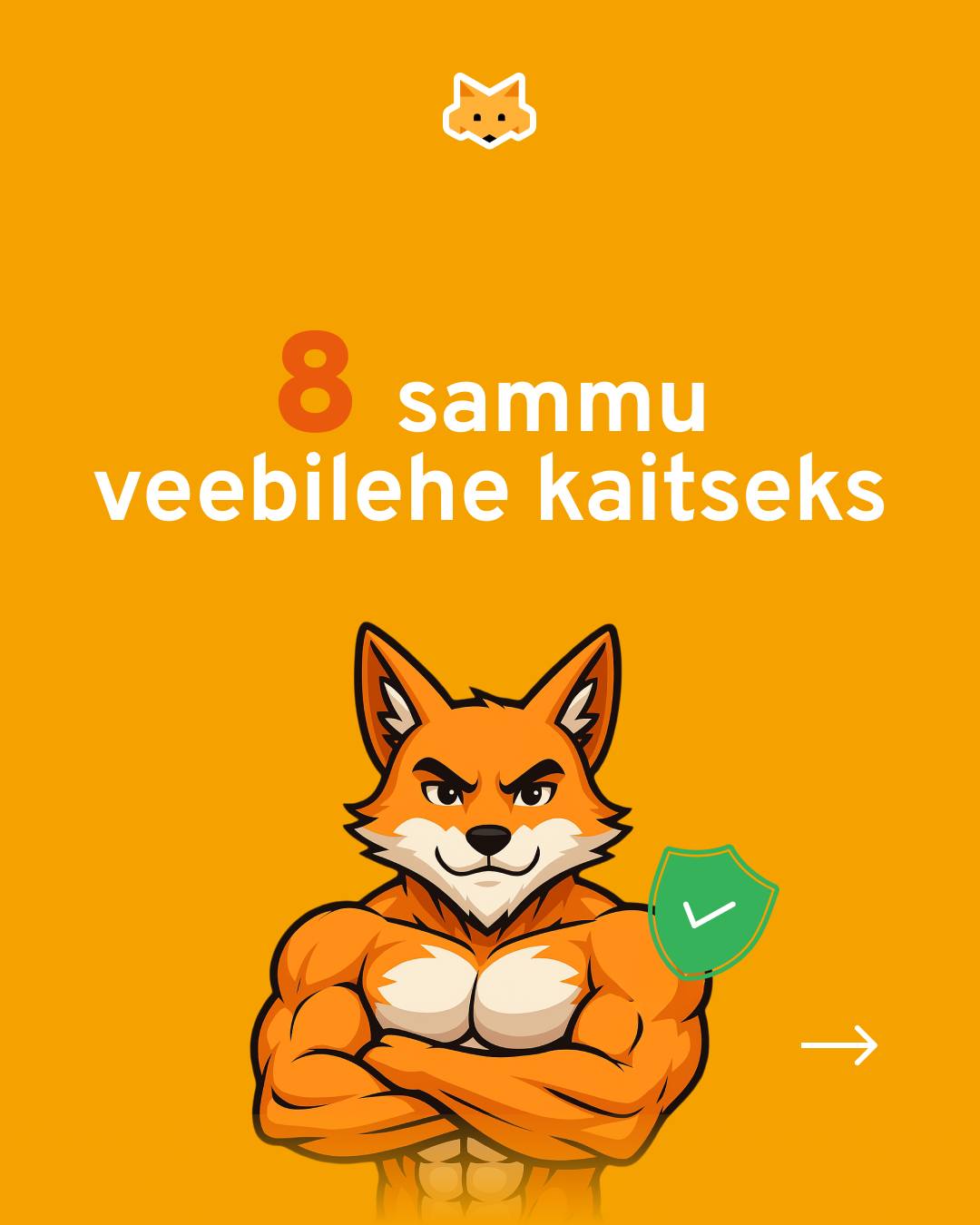 Veebimajutus.ee Facebook ad
