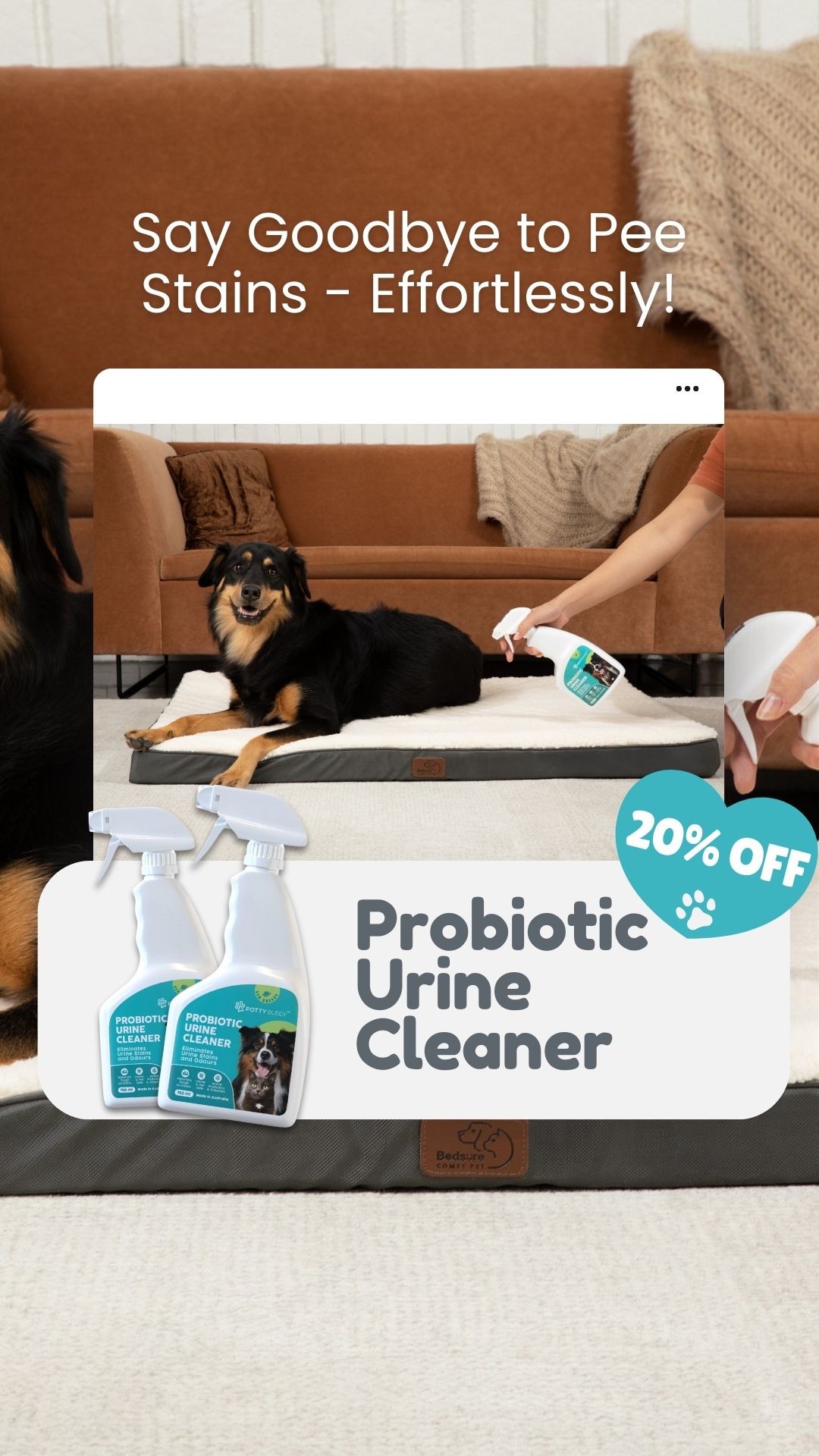 Potty Buddy Facebook ad