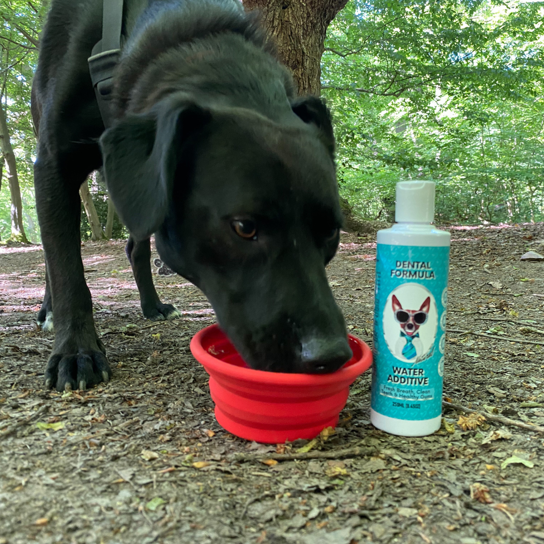 Nutri Paw Facebook ad