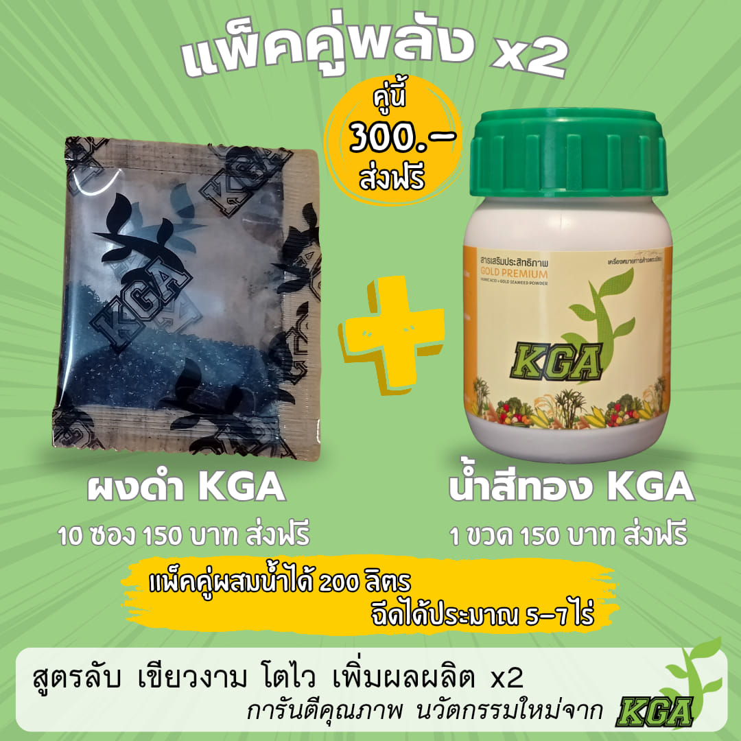 ผงดำ KGA น้ำดำราคาโรงงาน ส่งฟรีมีเก็บปลายทาง Facebook ad: แพ็คคู่พลัง x2