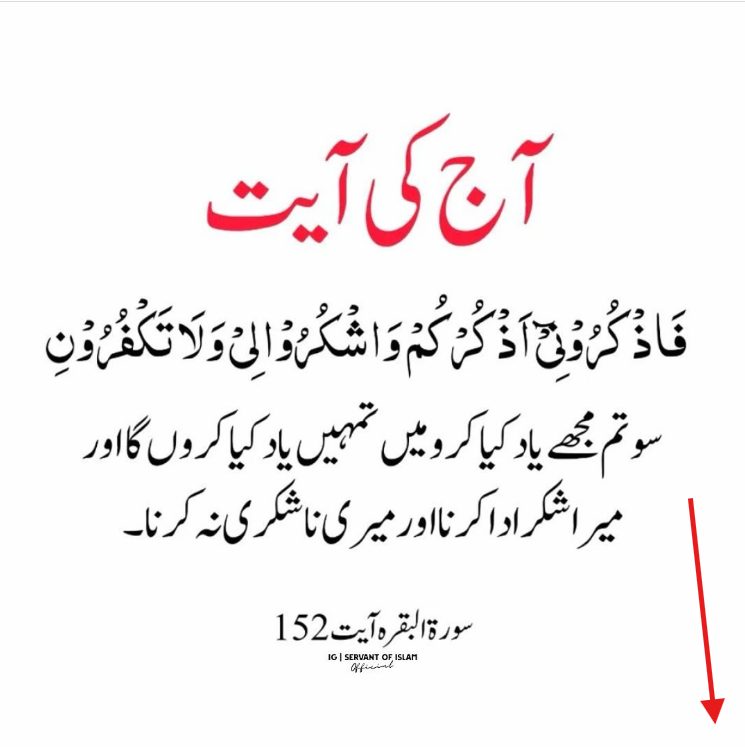 Pakhtoon Digital Plus Facebook ad: باخبر رہنے کے لیے فالو کریں