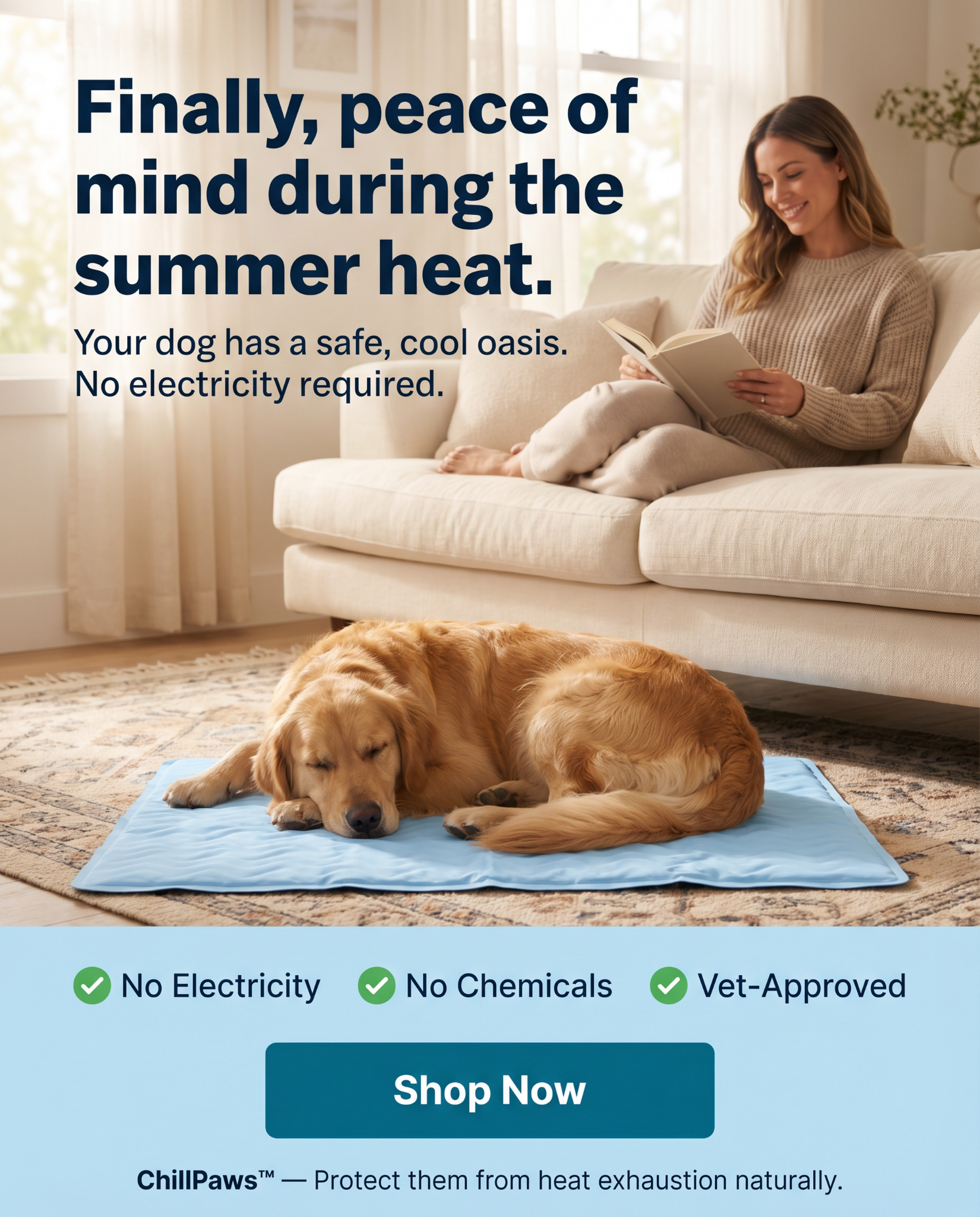 Rhykin Pet Co Facebook ad