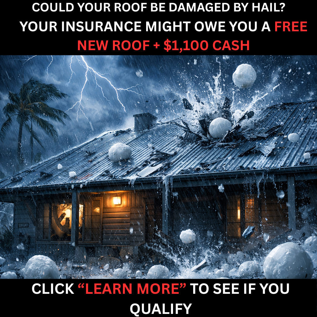 Dragon Roof Restoration Facebook ad