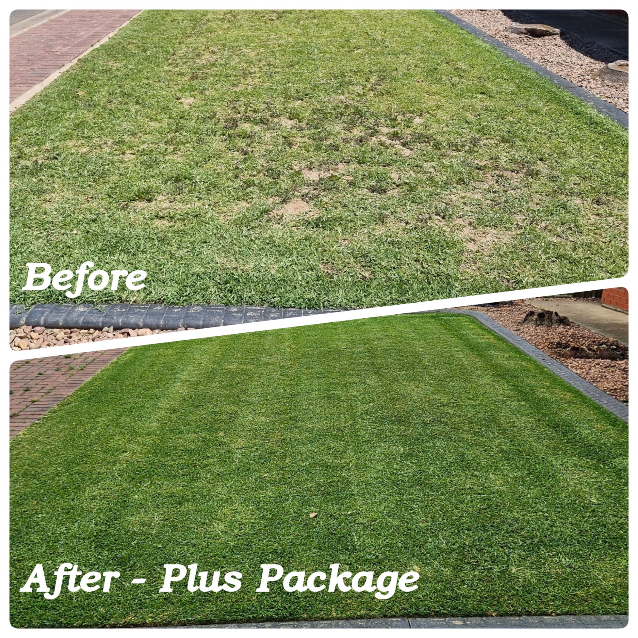 Northside Lawn Solutions Facebook ad: Our Plus Package lawn plan turns weedy, dry…