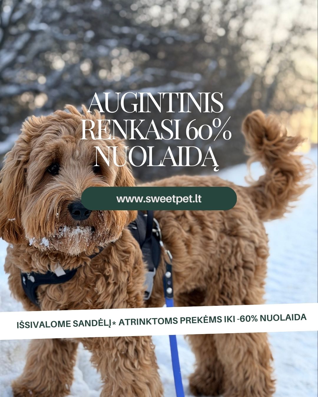 Sweet Pet Facebook ad