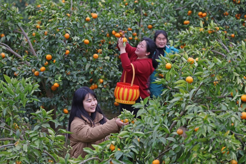 Economic Daily, China Facebook ad