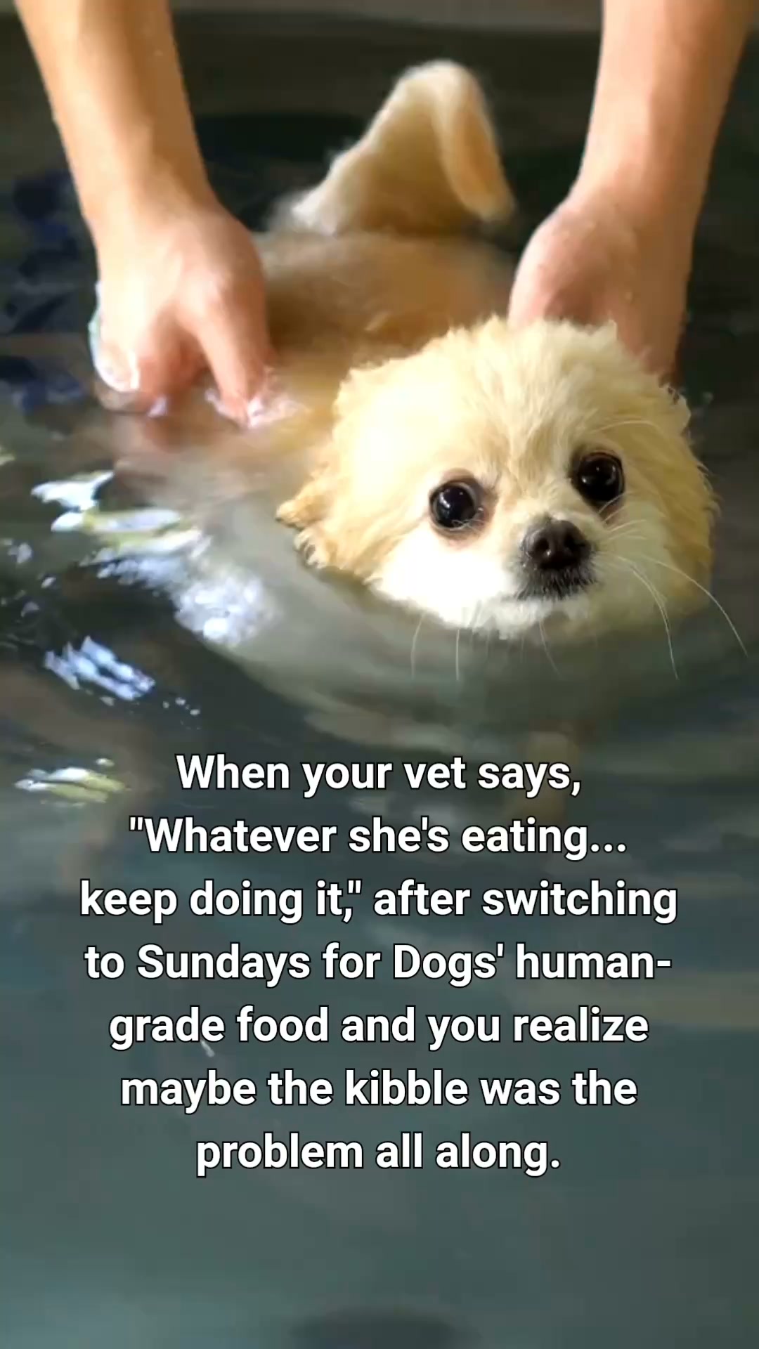 Sundays Facebook ad from Jul 27, 2026