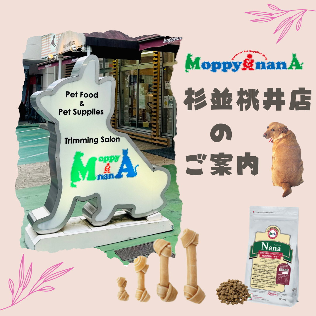 モッピーアンドナナ Facebook ad: ♪ワンちゃん・猫ちゃんと一緒に入店・お買い物できます♪