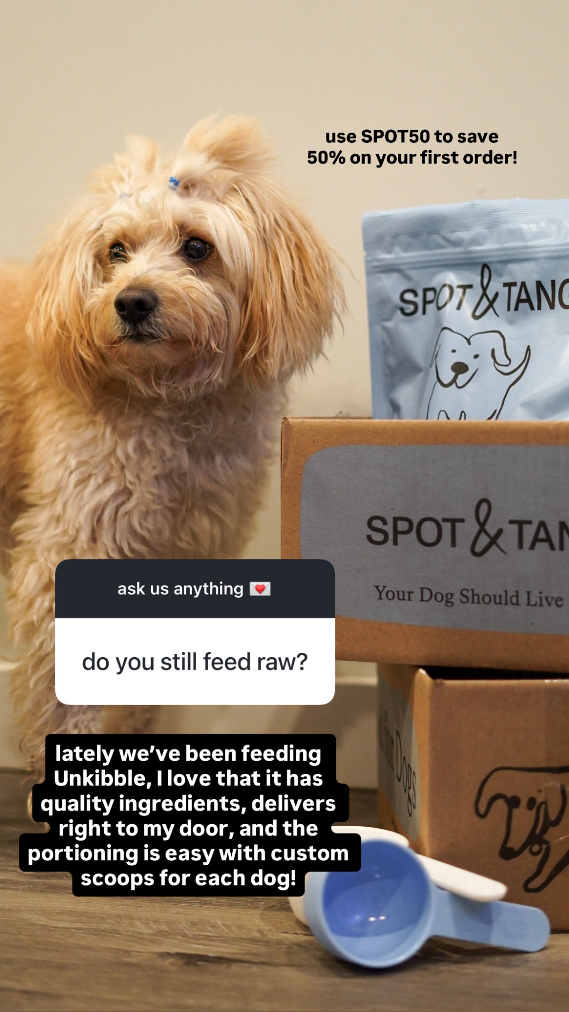 Kylo the Pomapoo Facebook ad