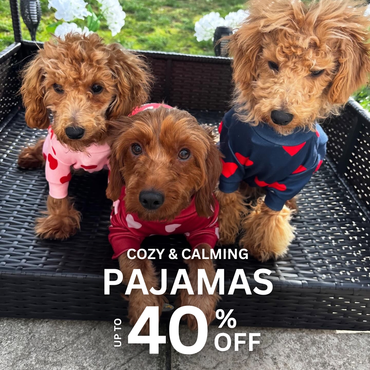 Spark Paws Facebook ad