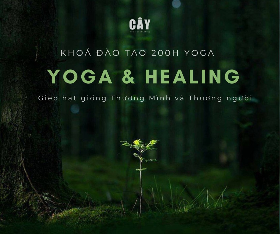 CÂY - Yoga and Healing home Facebook ad